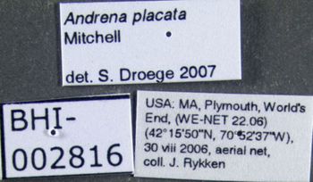 Media type: image;   Entomology 609578 Aspect: labels